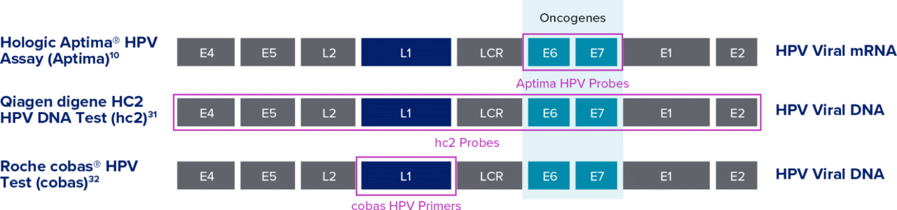 aptima-hpv-assay-hologic-women-s-health