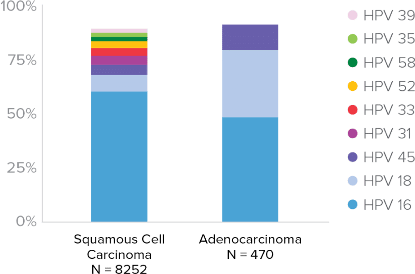 Squamous & Adenocarcinoma by Genotype