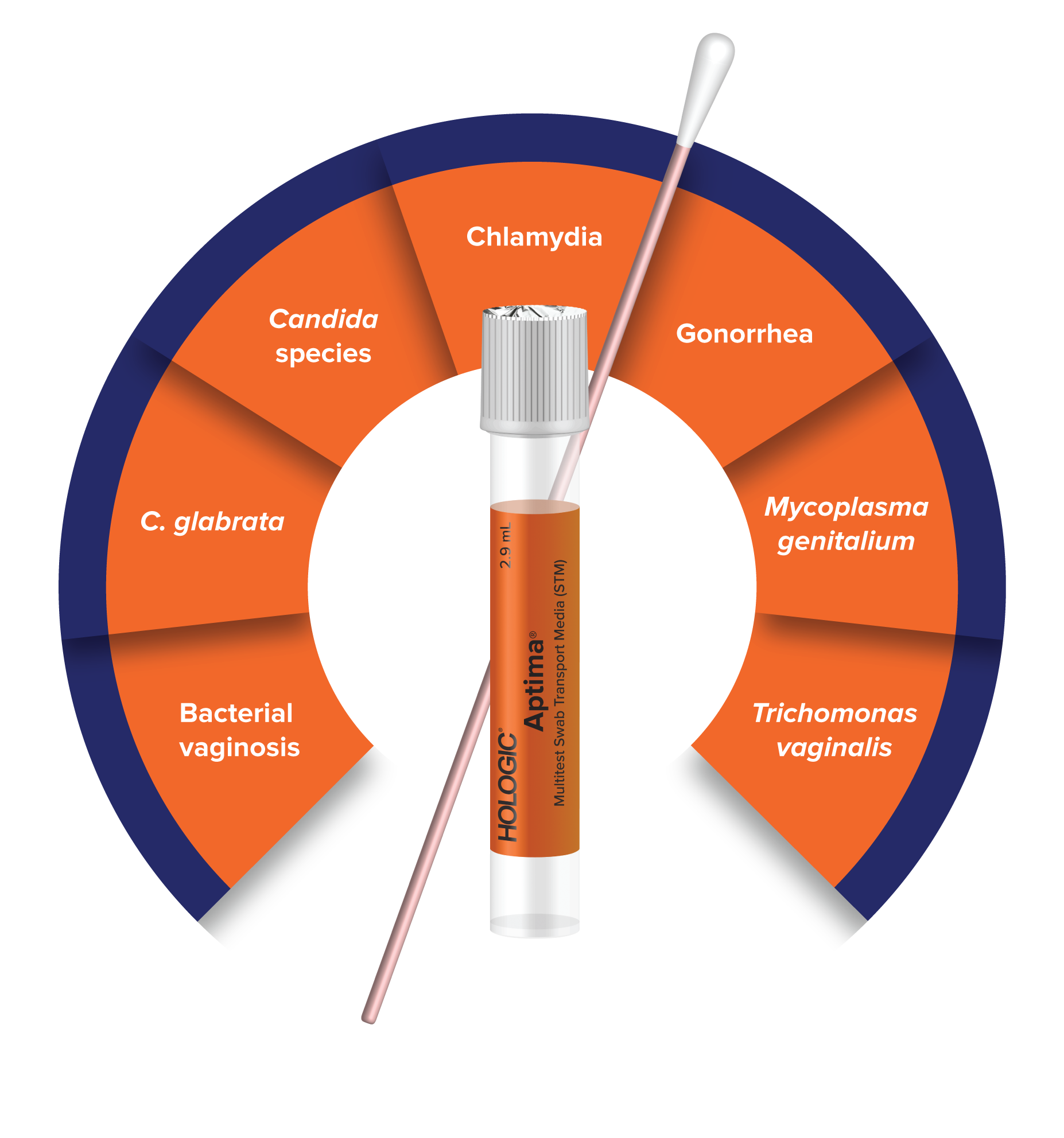 Aptima® Multitest Swab